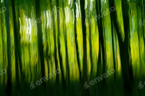 Preview: Abstract forest background, nature abstract background, forest blurred background.