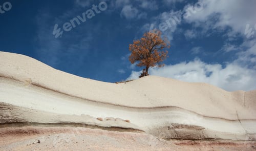 Preview: wind erosion rocks
