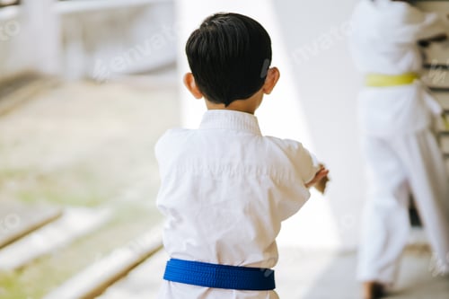 Preview: young boy in martial art uniform with blue belt practicing. view from behind