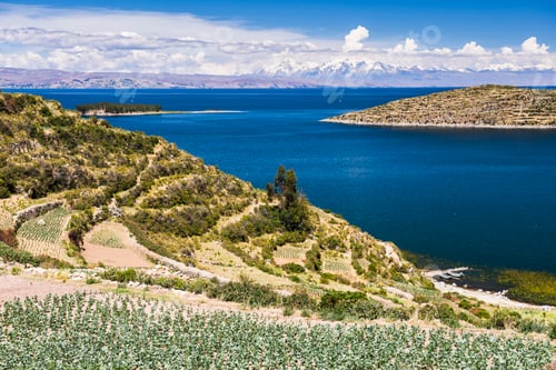Preview: Farm land on Isla del Sol (Island of the Sun), Lake Titicaca, Bolivia, South America