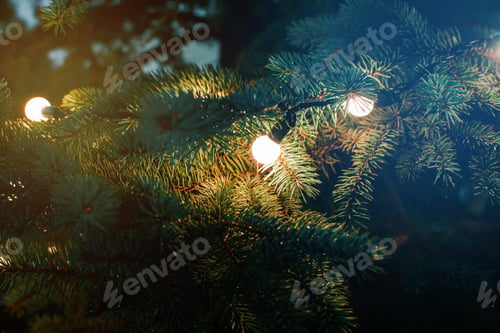 Preview: Christmas tree decorated with Christmas lights outdoors, close-up. Selective focus