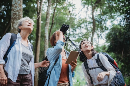 Preview: female backpacker group traveling in wild forest, Attractive girl traveler look around