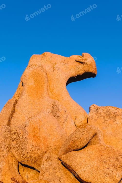 Preview: A natural rock in the shape of a dragon's profile in the orange sunset light against a blue sky.