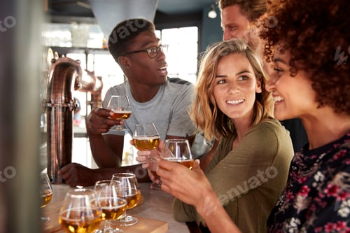 Preview: Group Of Friends Beer Tasting Sitting At Bar