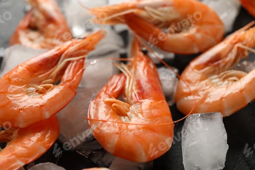 Preview: Delicious shrimps and ice on black background, close up