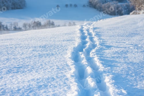 Preview: Footprints in the snow