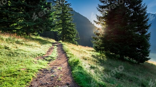 Preview: Beautiful sunrise in Valley Chocholowska, Tatra Mountains in Poland