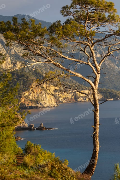 Preview: Turkey coast