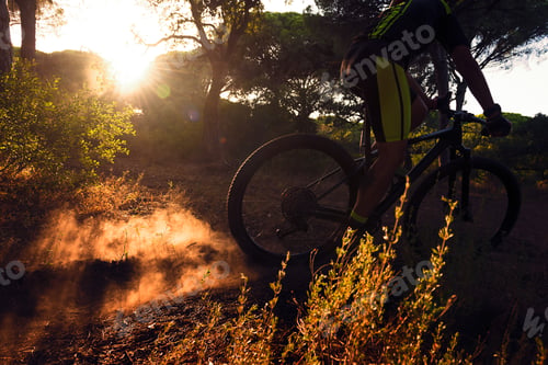 Preview: cyclist at full speed on mountain bike at sunset