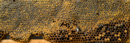 Preview: Close-Up Honeycomb Wide Banner with Copy Space