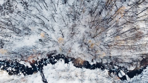 Preview: Aerial view of narrow mountain river and trees covered with snow.