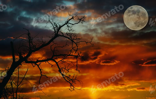 Preview: A partially full moon during a beautiful red sky during sunset