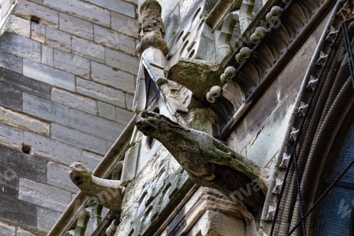 Preview: notre dame paris