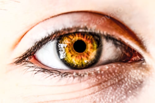 Preview: Close up of hazel eye