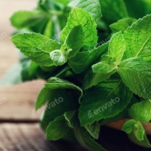 Preview: Fresh mint leaves on wooden background with copyspace and sunlights