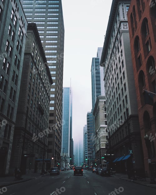 Preview: Denver Fog