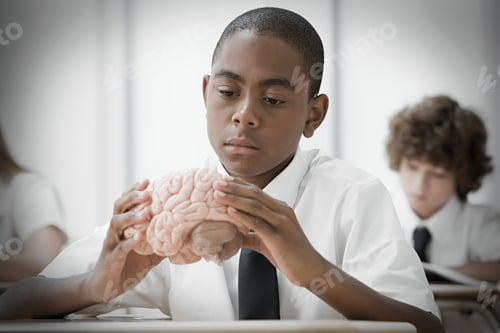 Preview: Student examining a brain model in class