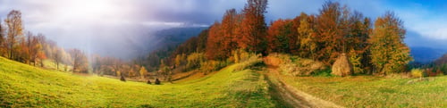Preview: autumn alley. that leads to the mountains