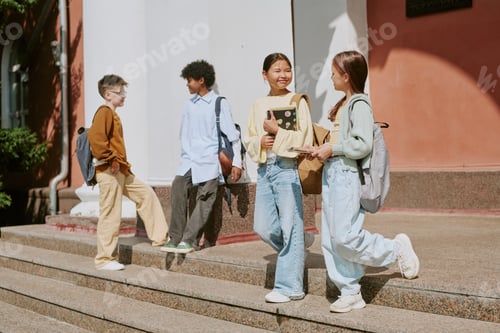 Preview: Group of Multiethnic Teenagers Standing Outside School Building Talking
