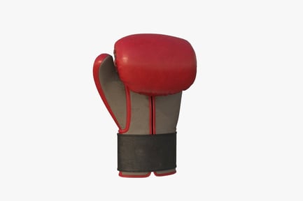 Preview: Professional Red Leather Boxing Glove