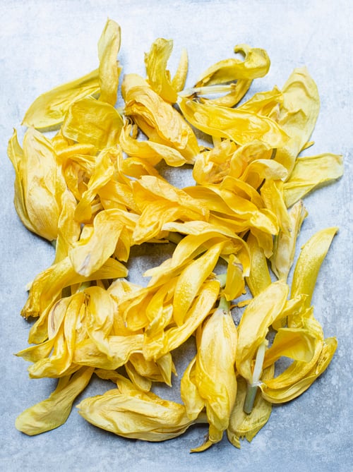 Preview: A pile of dried mango slices on a textured blue surface.
