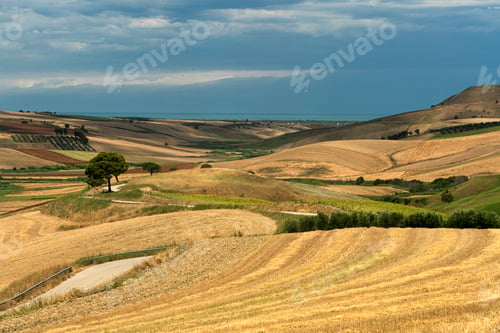 Preview: Rural landscape near Serracapriola, Apulia