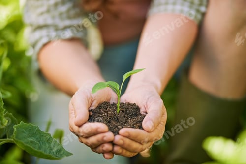 Preview: Hope grows green