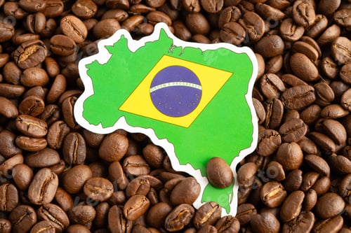 Preview: Brazil flag on coffee bean, import export trade online commerce.
