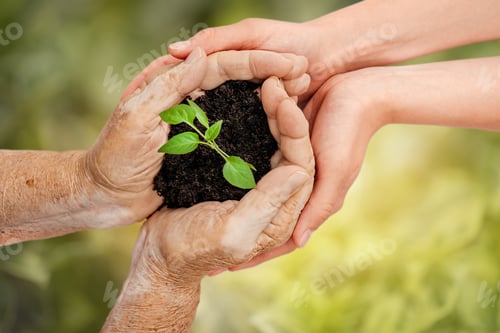 Preview: Generations join hands to nurture a green plant in rich soil, symbolizing sustainability