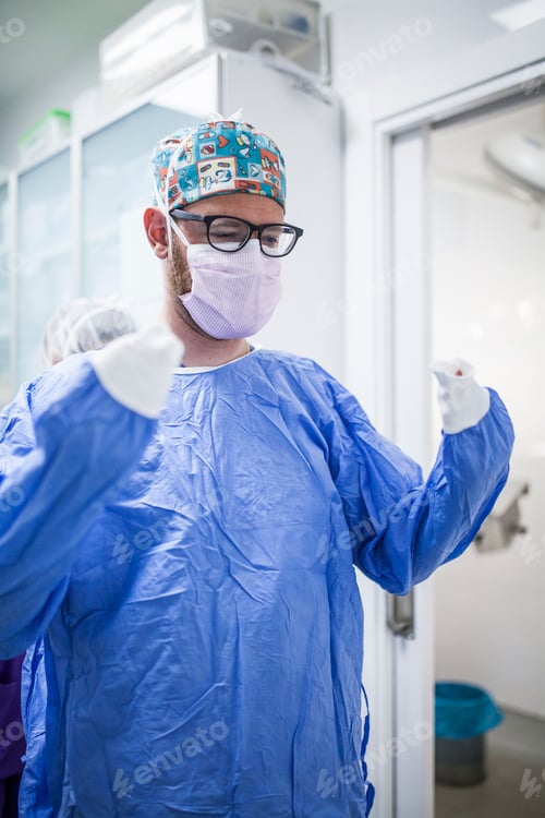 Preview: surgery room of the veterinary clinic