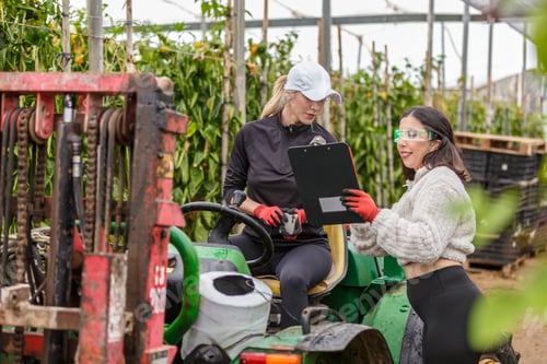 Preview: Pepper Harvesting in Almería Greenhouse with Workers and Tractor