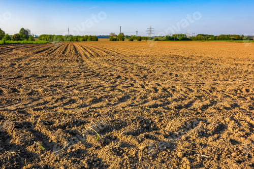 Preview: View of an agricultural field in a rural area captured on a bright sunny day