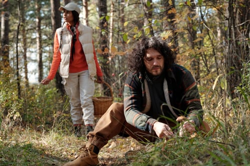 Preview: Young man cutting boletus mushroom while sitting on squats