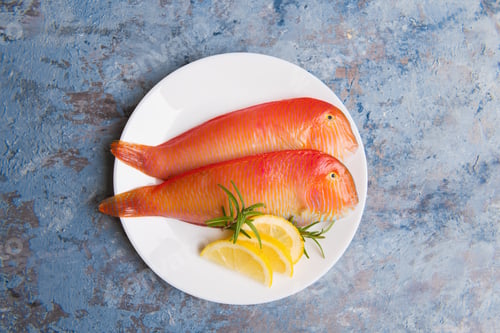 Preview: Beautiful tropical red sea fish Pearly razorfish on a blue background. Xyrichtys novacula, seafood