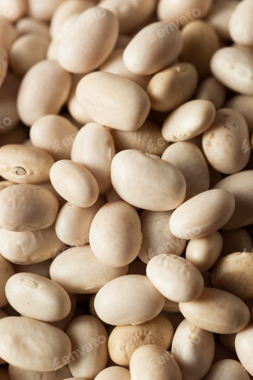 Preview: Raw Organic White Navy Beans
