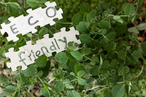 Preview: Germination of microgreens. Germination of seeds at home.
