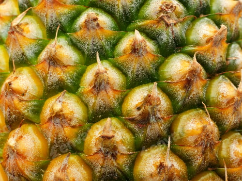 Preview: pineapple pine