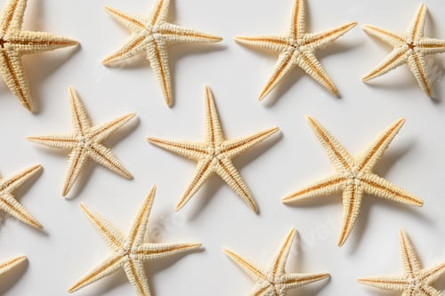 Preview: Starfishes on white background. Summer beach vacation.
