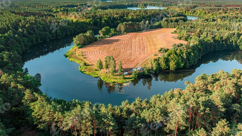 Preview: Summer forest and winding river in Poland, Europe