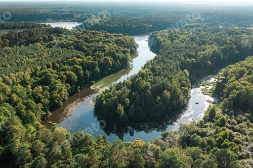 Preview: Green forest and winding river at sunrise, Poland, aerial view