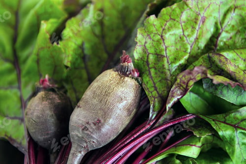 Preview: Fresh beetroot with leaves closeup.