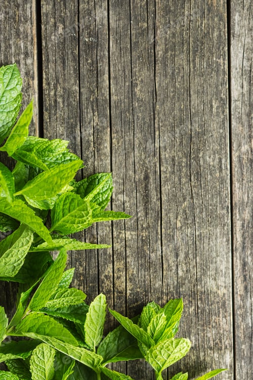 Preview: Branch mint leaves.