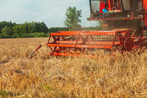 Preview: A field with grain and a mowing harvester