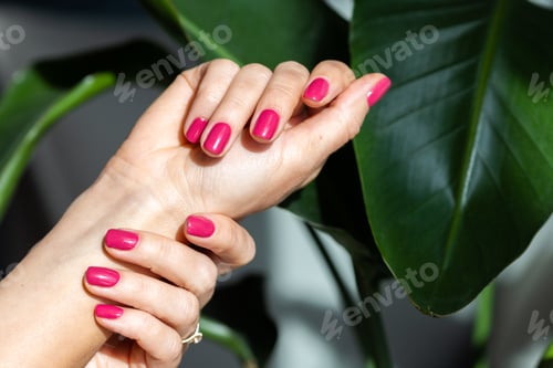 Preview: Close-up beautiful female hand with pink nails on green background.