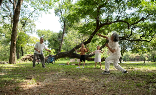 Preview: Happy Asian grandparents enjoying a picnic with their granddaughter in a green park
