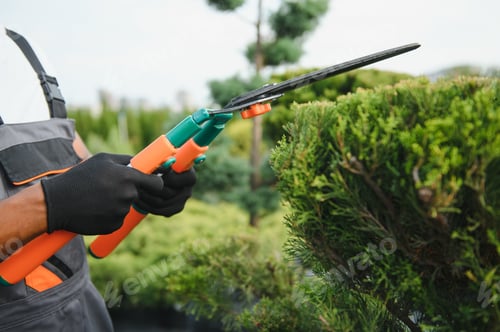 Preview: african american male garden worker works