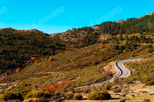 Preview: Road through autumnal park in a beautiful sunny morning during fall