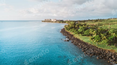 Preview: Aerial shot of an island with palm trees on the rocky shoreline