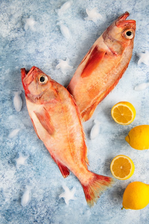 Preview: Two raw red porgies with lemons on blue background