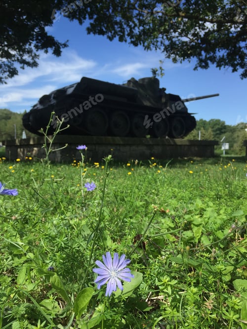 Preview: Blue Flower Growing Beside Tank